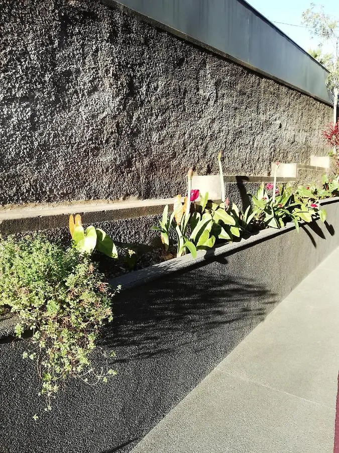 Fx Carvalhal Hotel Funchal  Guest house Funchal (Madeira)
